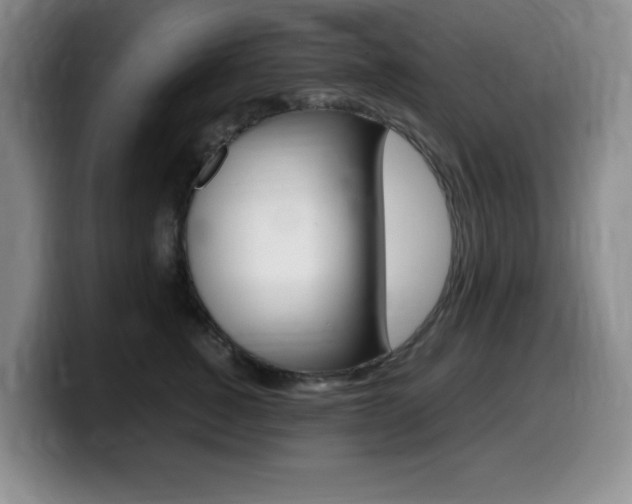 X0000099460760200805090747