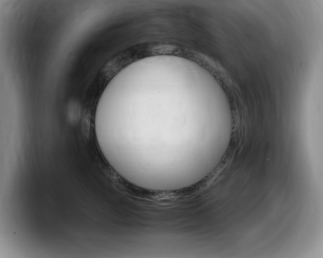 X0000099460761200805090747