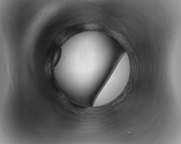 X0000099460762200805090747
