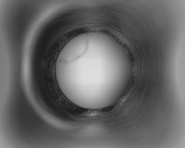 X0000099460764200805090747