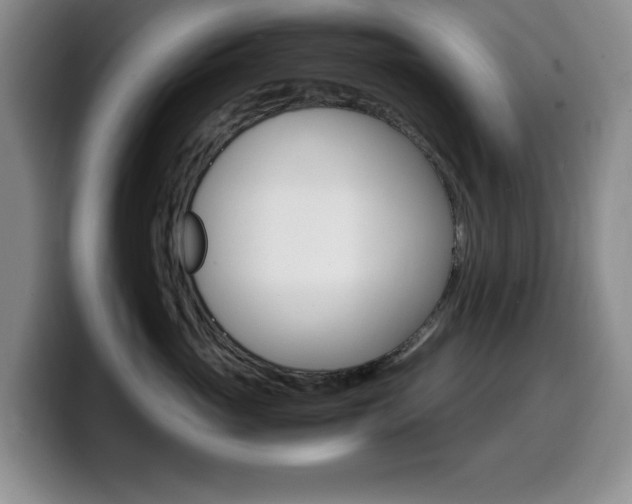 X0000099460765200805090747