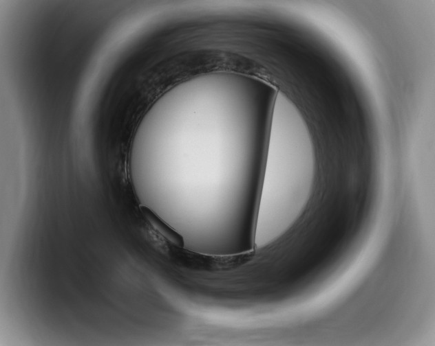 X0000099460766200805090747