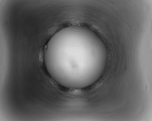 X0000099460768200805090747