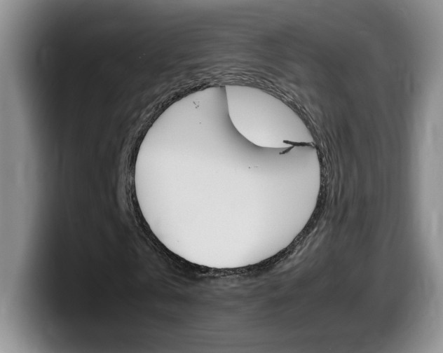 X0000099460769200805090747