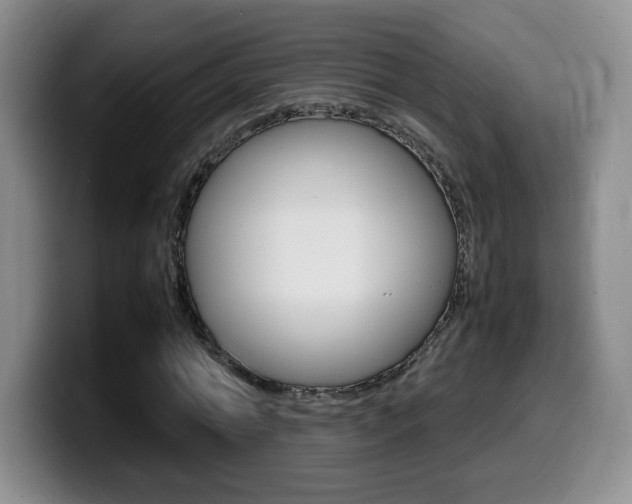X0000099460774200805090746