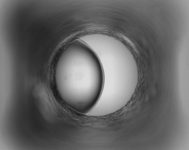 X0000099460775200805090746