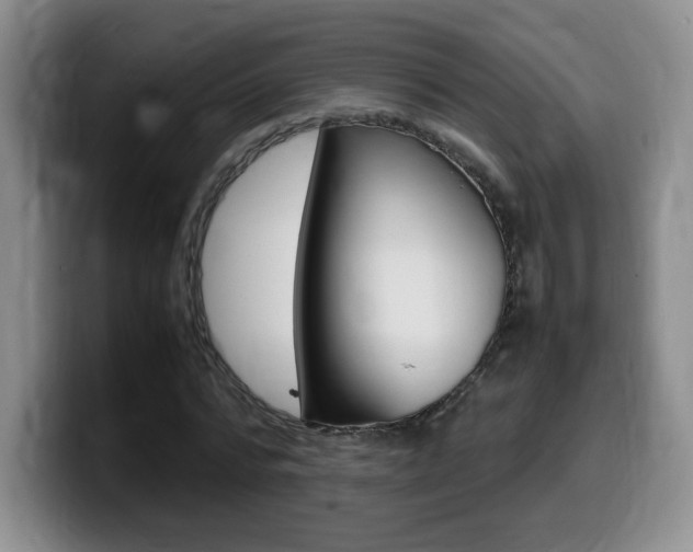 X0000099460776200805090746