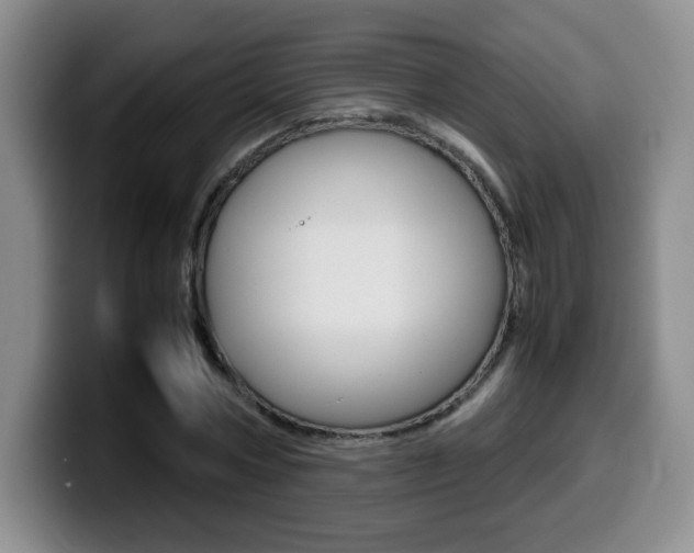 X0000099460778200805090746
