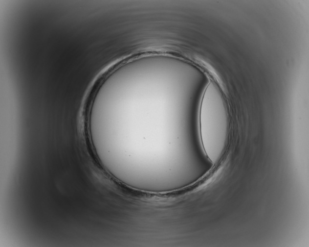 X0000099460779200805090746