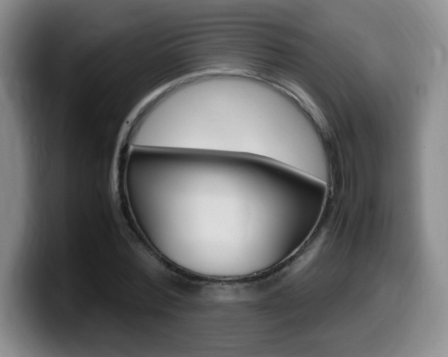 X0000099460780200805090746