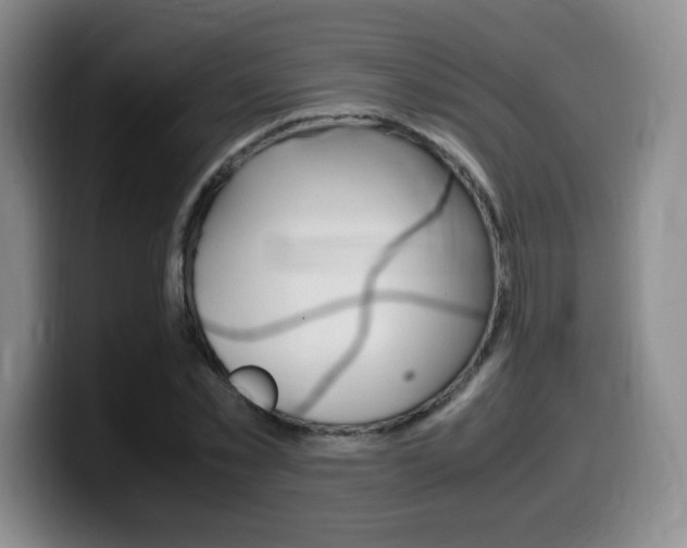 X0000099460781200805090746