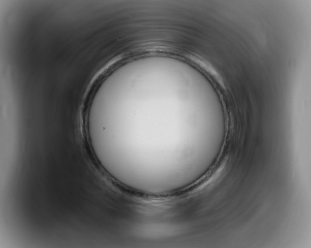 X0000099460782200805090746