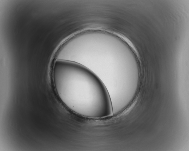 X0000099460783200805090746