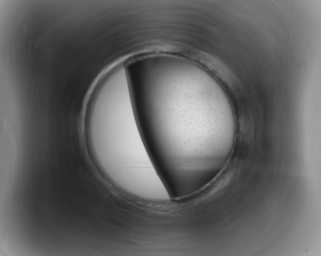 X0000099460784200805090746