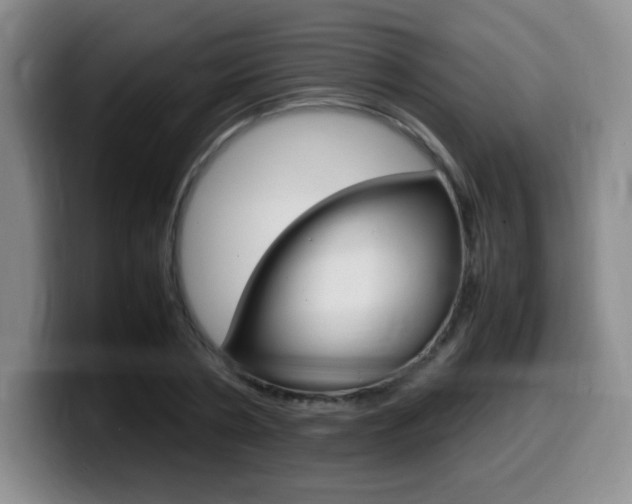 X0000099460786200805090746