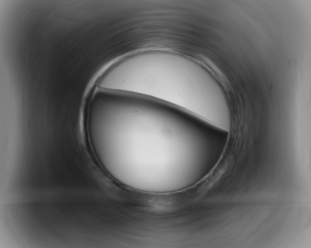 X0000099460788200805090746