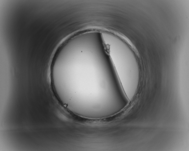 X0000099460791200805090746