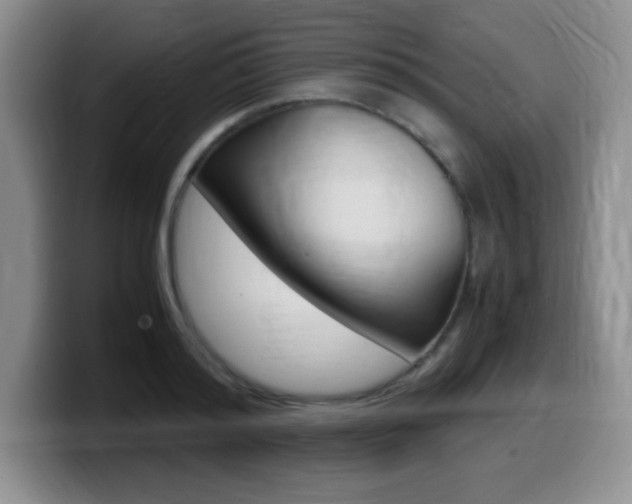 X0000099460796200805090746
