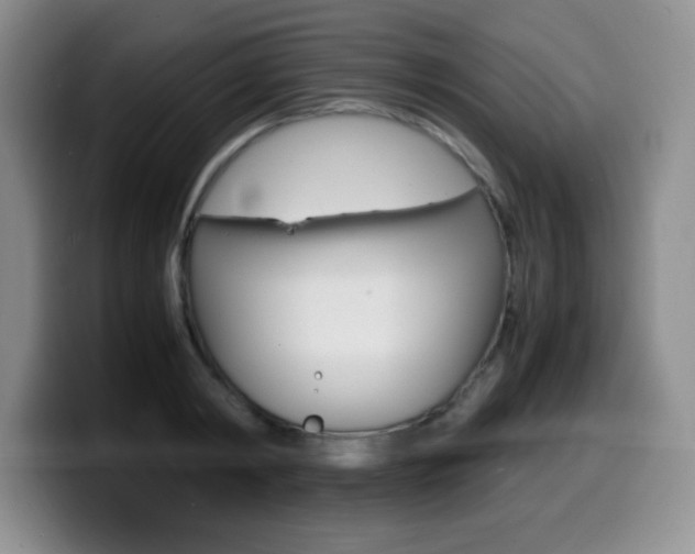 X0000099460798200805090746
