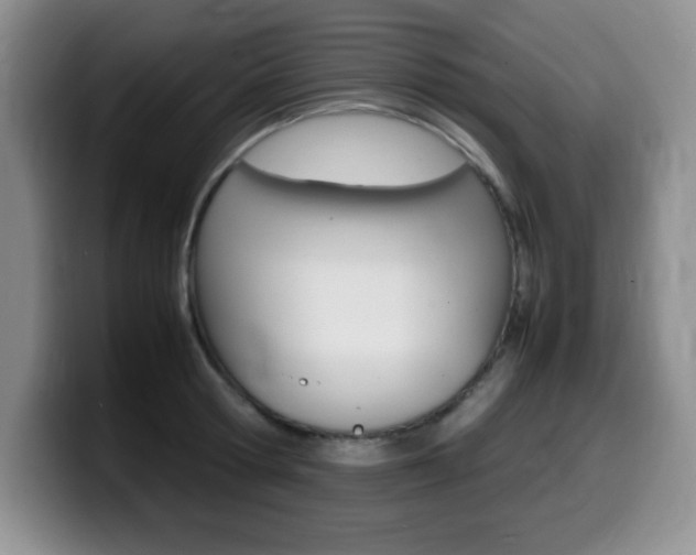 X0000099460802200805090746