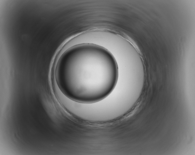 X0000099460803200805090746