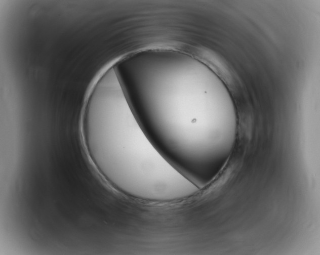 X0000099460804200805090746