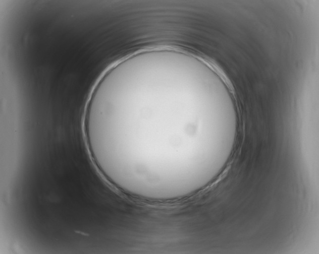 X0000099460805200805090746