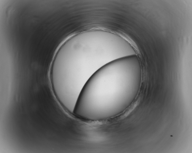 X0000099460806200805090746