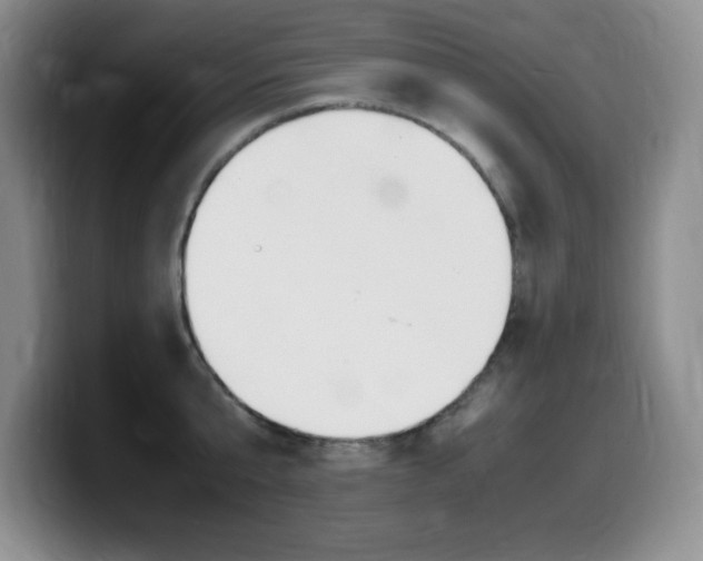 X0000099460807200805090746