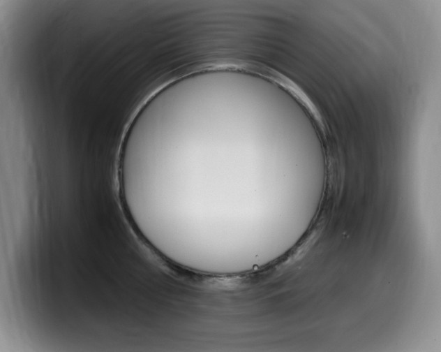 X0000099460810200805090746