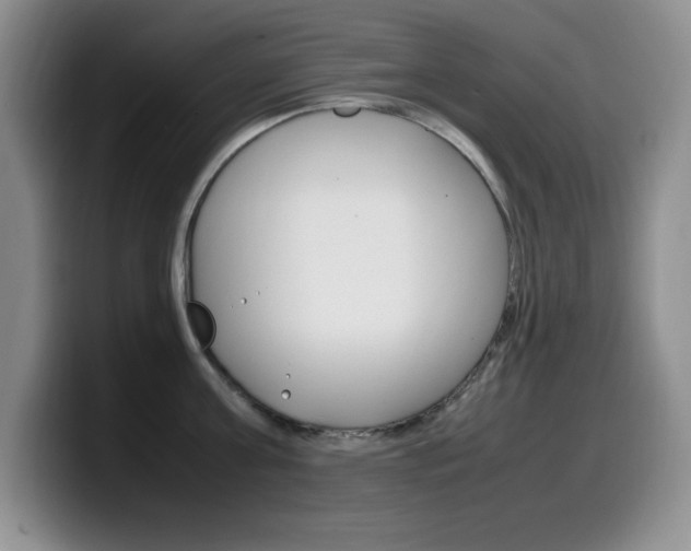 X0000099460811200805090746