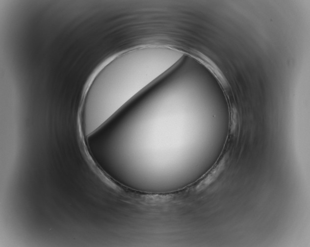 X0000099460812200805090746