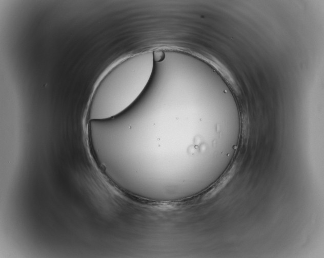 X0000099460814200805090746