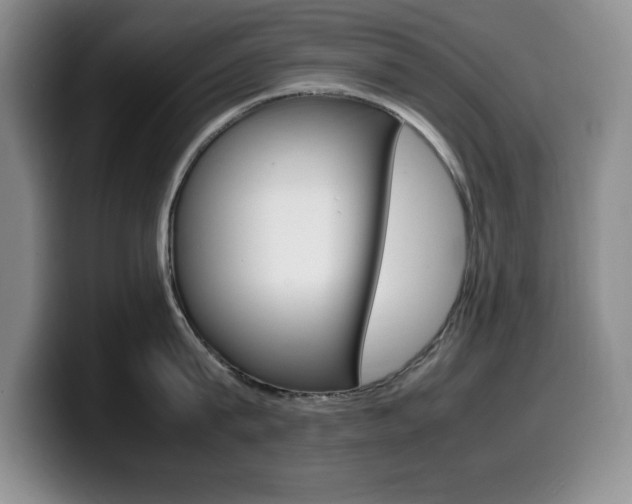 X0000099460815200805090746