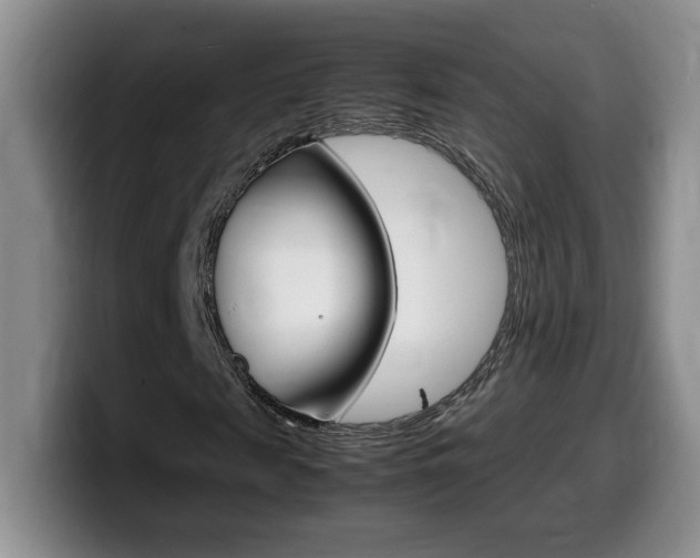 X0000099460817200805090745