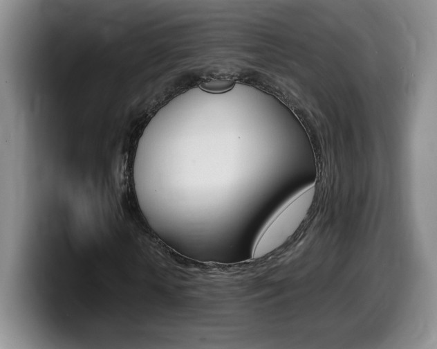 X0000099460818200805090745
