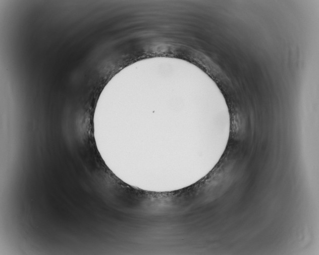 X0000099460820200805090745