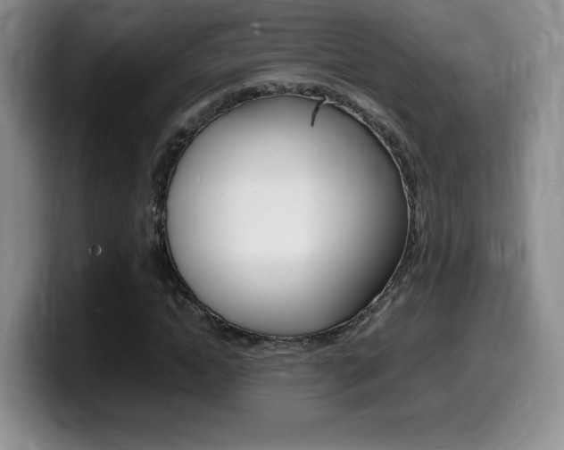 X0000099460822200805090745