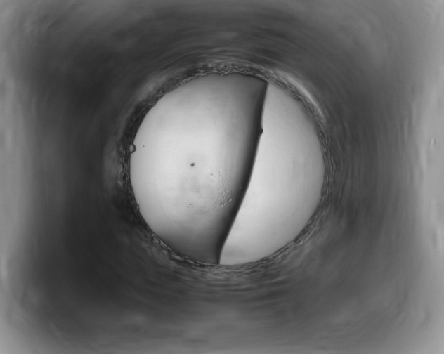 X0000099460823200805090745