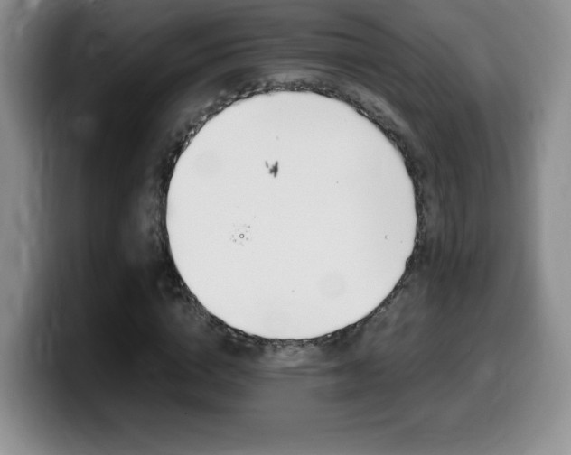 X0000099460824200805090745