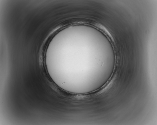 X0000099460827200805090745