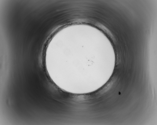 X0000099460828200805090745
