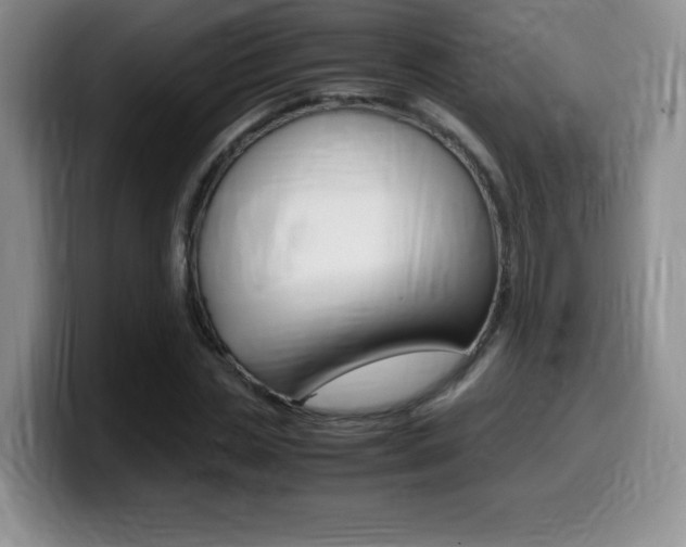 X0000099460829200805090745