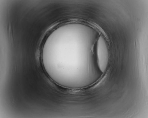 X0000099460831200805090745