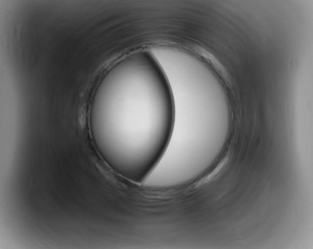 X0000099460833200805090746