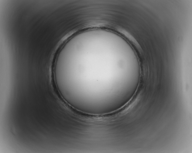 X0000099460834200805090746