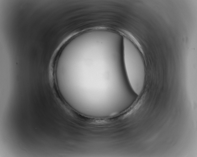 X0000099460835200805090746