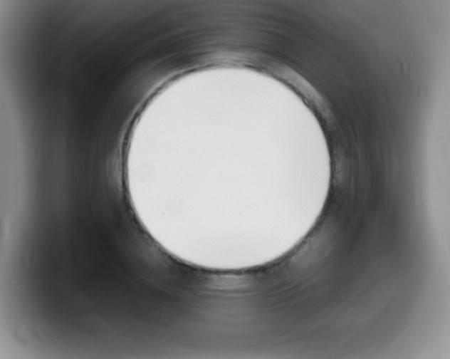 X0000099460836200805090746