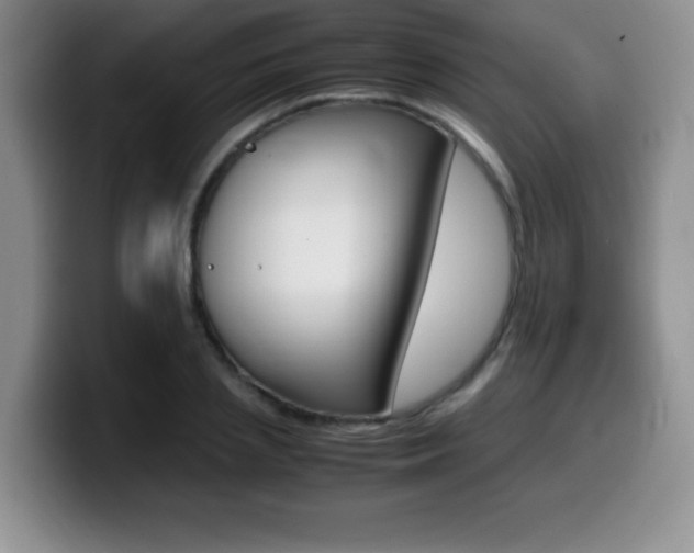 X0000099460837200805090746
