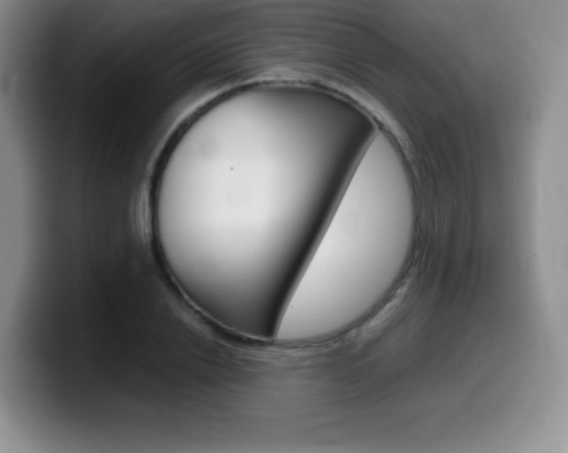 X0000099460838200805090746